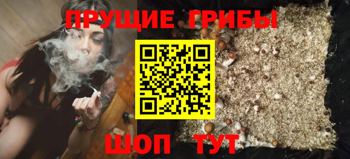 Галлюциногенные грибы GOLDEN TEACHER Кизляр